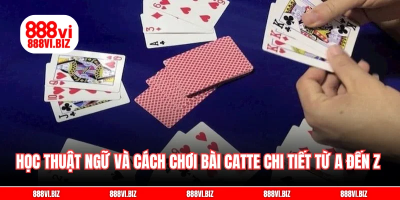 Học thuật ngữ và cách chơi bài catte chi tiết từ A đến Z 