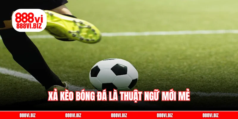 Xả kèo bóng đá là thuật ngữ mới mẻ